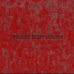 reduced brain volume