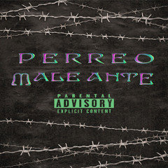 PERREO MALEANTE