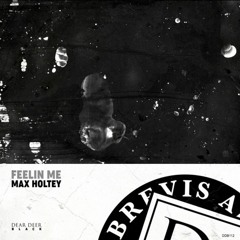 PREMIERE: Max Holtey - Ruin (Original Mix) [Dear Deer Black]