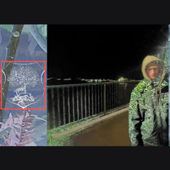 bless the night in smoke (oroboros song)