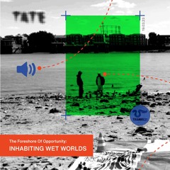 Inhabiting Wet Worlds