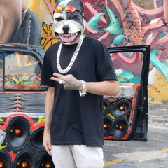 MC GW -Vou Sarrando no Teu Bumbum ( DOG BEATZ )