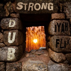Strong Dub Promo Mix - Iyah Flix