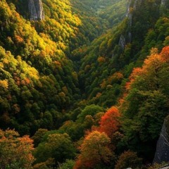 سألوذ بحضنك - خدمة السماء على الأرض - مصر