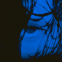 Turn On The Lights