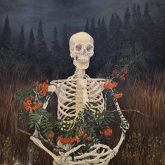 janeece - fuck around & find out (doomr edit) SLOWED