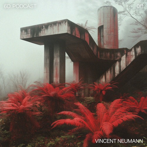 6D. Podcast 011 - Vincent Neumann