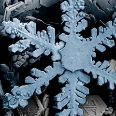 Antarctic Reinforcement V2 (Synth Arrangement)