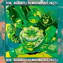 Feid - Aguante ( Dj Molina EDIT 2022 )