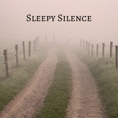 Sleepy Silence