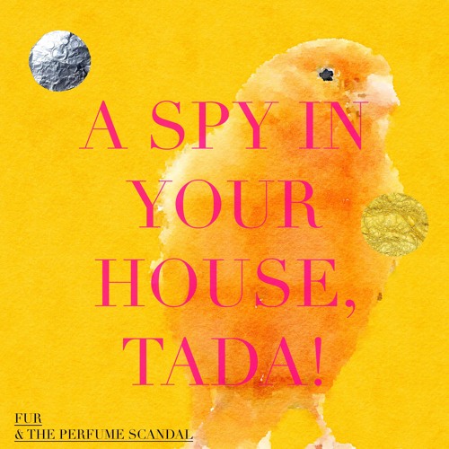 A Spy In Your House, Tada!