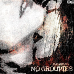 NO GROUPIES (FINESHTONLY)