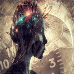 Voice Of Mind Soul