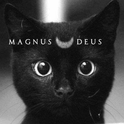 Magnus Deus - Ghost in The Shell (Hyper House edit)