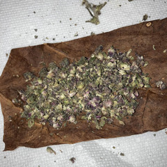 Bad Habits