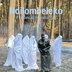 Ndilombeleko