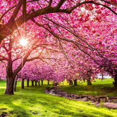 Springtheme (Ween Cover)