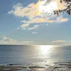 Detox Unit x Sub Focus - Aftermarket x Original Don iTFiTZ