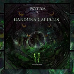 Psytuga- Black Forest_148Bpm_(Out Now)