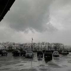 rainy daze