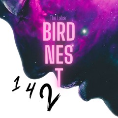 BIRDNEST # 142
