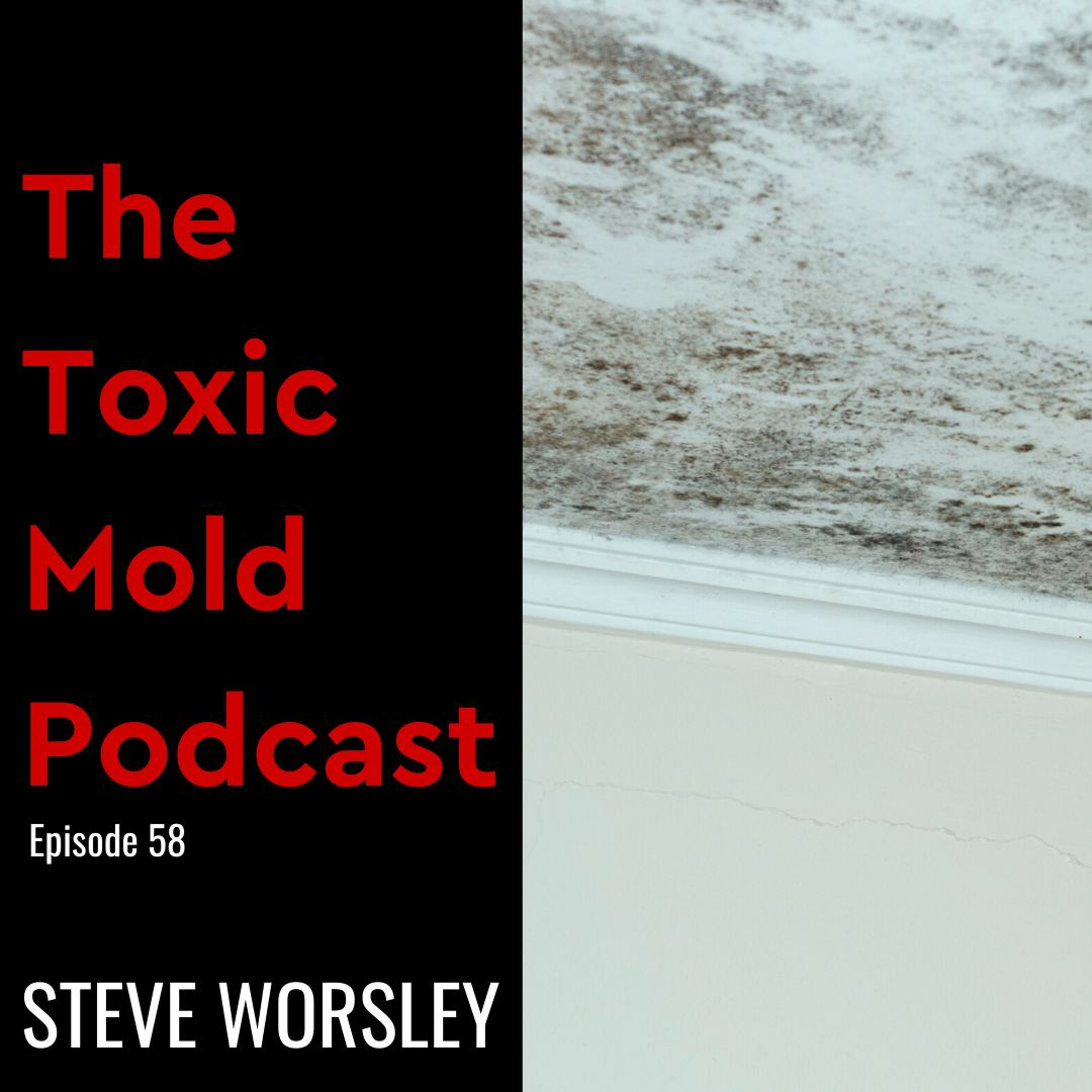 The Toxic Mold Podcast