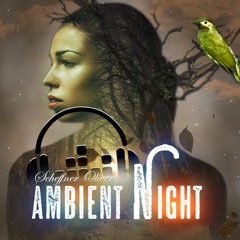 Ambient Night(mix1)