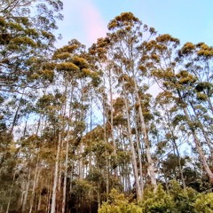 "When Our Bodies Speak"