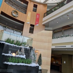 Seeking Peace & Beauty.wav