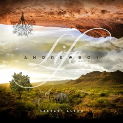 Andrewboy - Life I Author's album