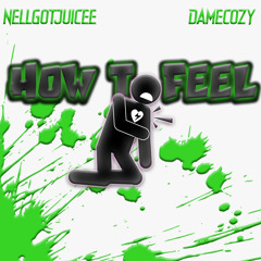 NellGotjuicee - How to Feel Ft DameCozy