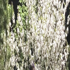 あなた のもの / i belong to you / я принадлежу тебе