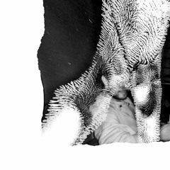 Laylow - LONGUE VIE (cover)