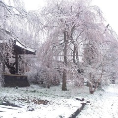 okuribi (birthday drop)