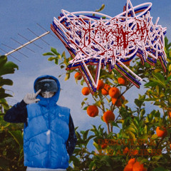 Nobodylikesbirdie - Debout Sur Mes Affaires - (The Window Remix)