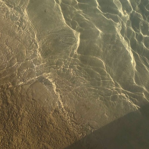 AbdulMajeed x RashedAlmajid