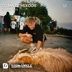 DSMNTL MIX006 - ljś