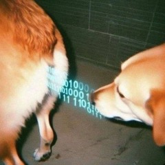 hk_calm-steady_tracks_500