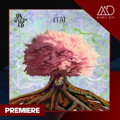 PREMIERE: ITAI - Down By The River (Original Mix) [The Teddy Bear Lounge]