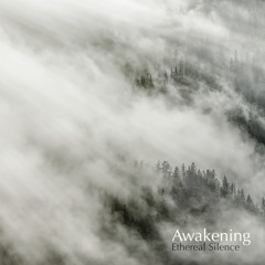 Awakening