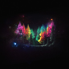 Walking in the Forest