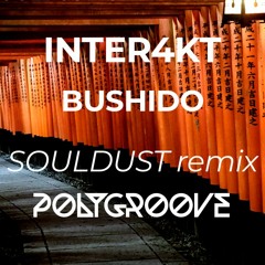 Inter4kt - Bushido (Souldust Remix)