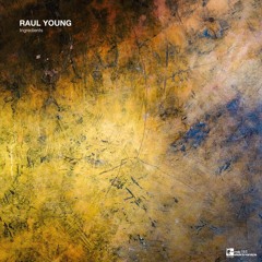 Raul Young - Ingredients (Original Mix)