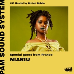 PAM Sound System @RCV99fm - Episode #30 - Special Guest : NIARIU