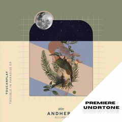 Toucanplay - Trouble In Paradise [Andhera Records] - PREMIERE