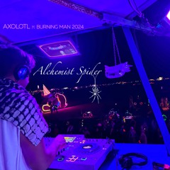 Alchemist Spider | Axolotl | Burning Man 2024