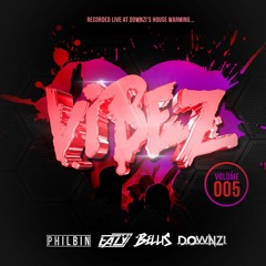 Vibes Volume 05 | Downzi's House Warming | DJ Philbin - MCs Eazy - Bellis - Downzi