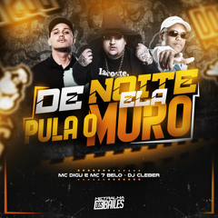 De Noite Ela Pula O Muro