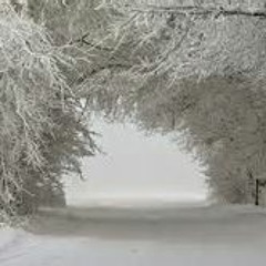I Will Follow