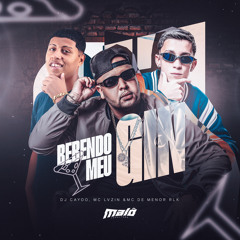 Bebendo Meu Gin